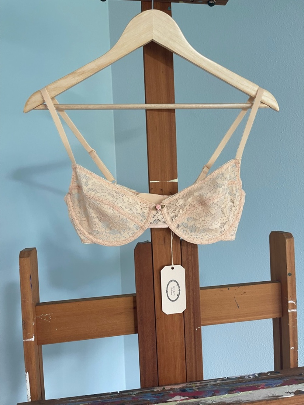 doen NWT IDALIA BRA - CAMEO PINK 36C